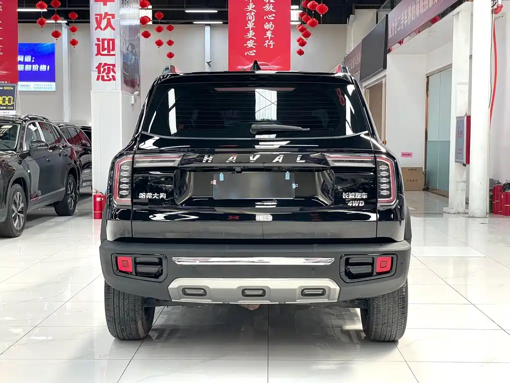 HAVAL  BIG DOG