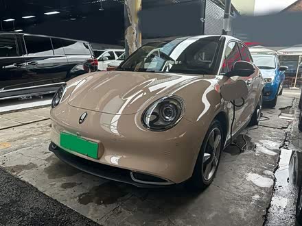 欧拉好猫 2021款 400km标准续航 缪斯版 磷酸铁锂