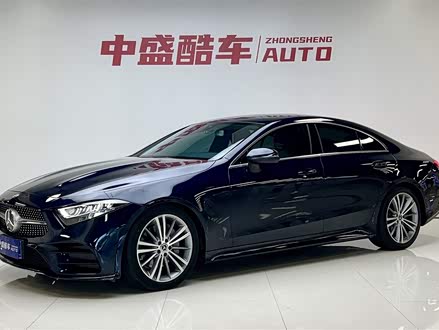 奔驰CLS 2020款 CLS 300 动感型