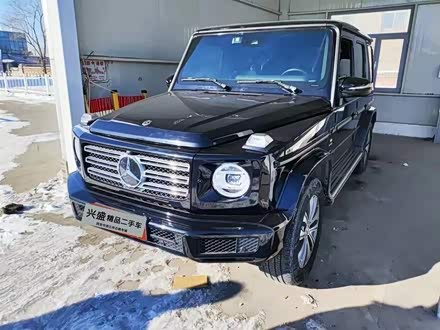 奔驰G级 2019款 G 500
