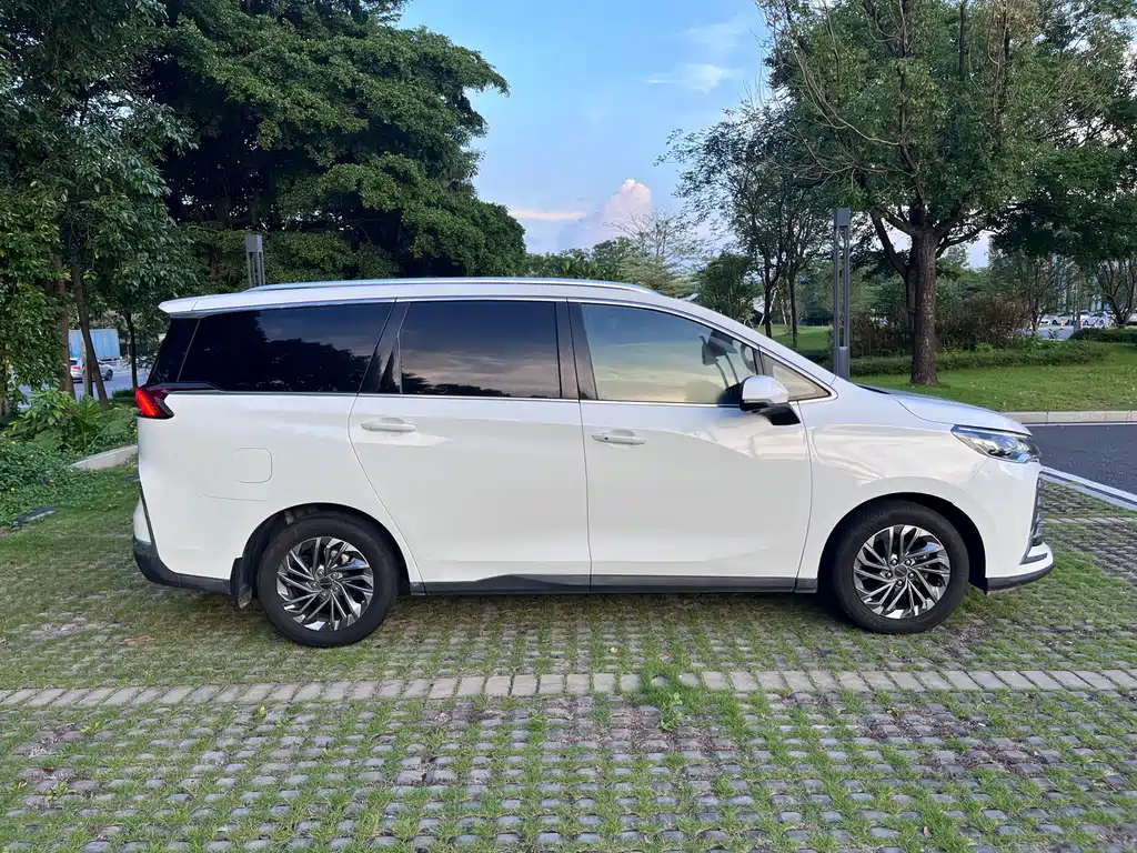 SAIC MAXUS CHASE G50