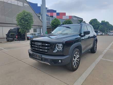 哈弗大狗 2021款 1.5T DCT两驱边牧版