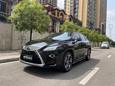 雷克萨斯RX 2020款 300 四驱典雅版 国VI