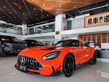 AMG GT 2021款 AMG GT Black Series