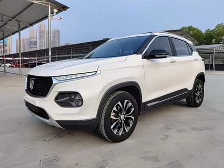 宝骏510 2018款 1.5L 自动周年特别版 国V