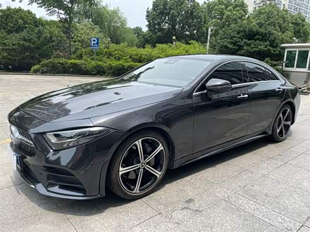 奔驰CLS 2020款 CLS 300 动感型