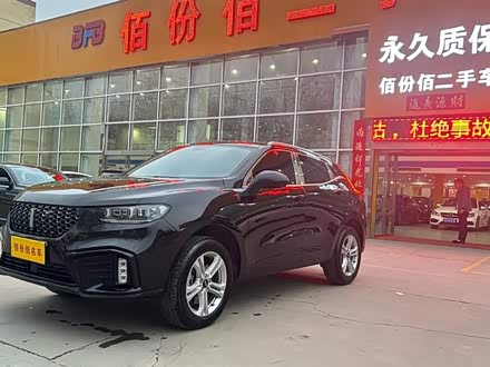 魏牌 VV5 2020款 1.5T 两驱颜先锋
