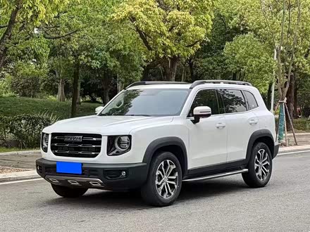 哈弗大狗 2021款 1.5T DCT两驱边牧-旺财版