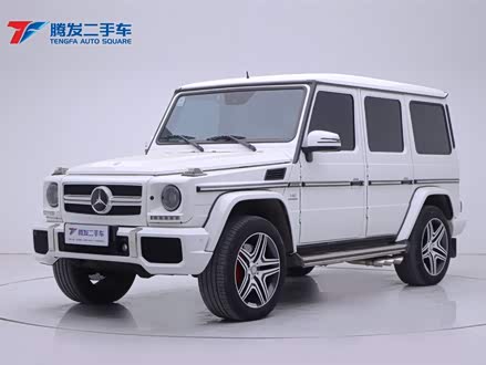 奔驰G级 2013款 G 500