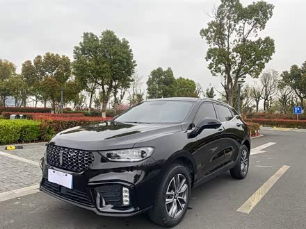 魏牌 VV5 2020款 1.5T 两驱智先锋