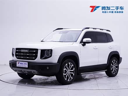 哈弗大狗 2021款 1.5T DCT两驱边牧-旺财版