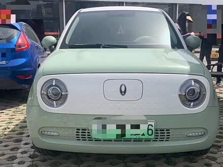 欧拉黑猫 2022款 351km 舒适型 三元锂