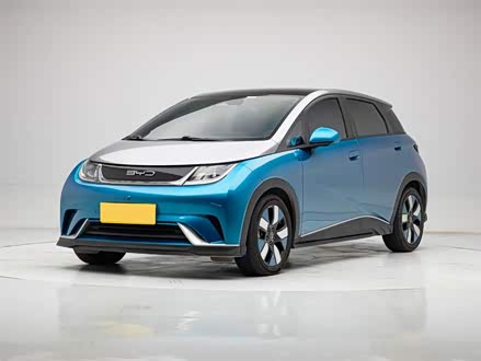 海豚 2021款 401km 骑士版