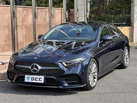 奔驰CLS 2020款 CLS 300 动感型