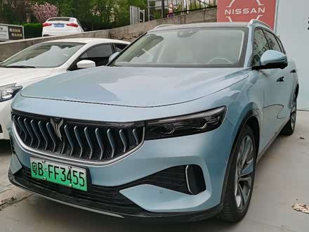 岚图FREE 2021款 四驱增程首发纪念版专属豪华套装