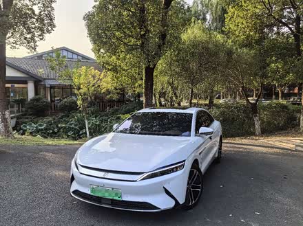汉 2020款 EV 超长续航版尊贵型