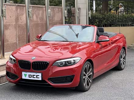 宝马2系 2019款 225i 敞篷轿跑车 运动设计套装