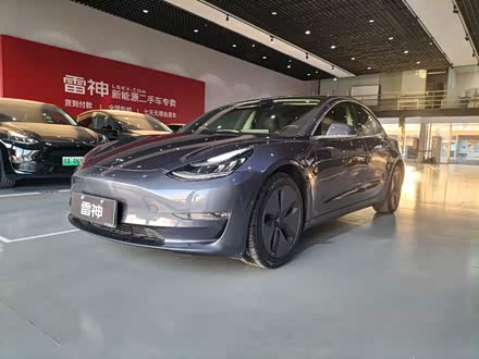 Model 3进口 2019款 长续航全轮驱动版
