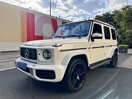 奔驰G级 2019款 G 500