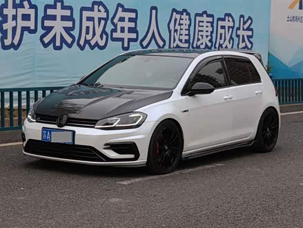 高尔夫进口 2017款 2.0TSI R