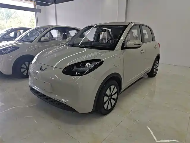 WULING AUTOMOBILE WULING BINGGUO 2025