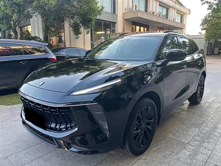 风行T5 EVO 2021款 1.5TD DCT钻石版