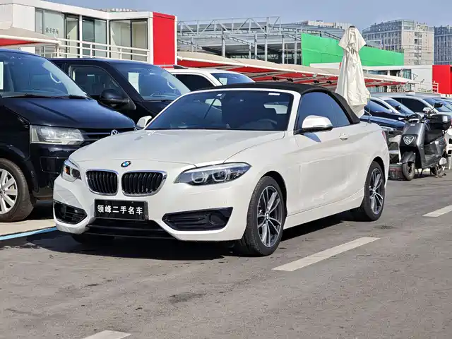BMW 2 SERIES 2019