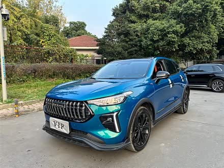 哈弗赤兔 2021款 激擎版 1.5T 铂金兔