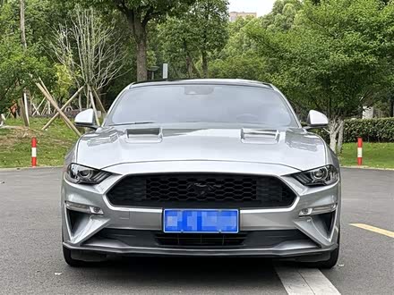 Mustang 2020款 2.3L EcoBoost 黑曜魅影特别版