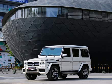 奔驰G级AMG 2013款 AMG G 63