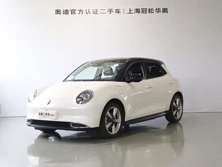 欧拉好猫 2021款 400km标准续航 维纳斯版 三元锂