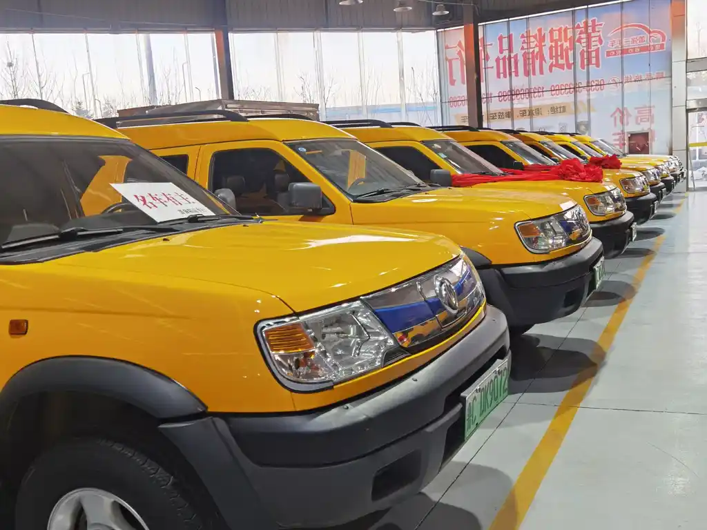 DONGFENG RUIQI NEW ENERGY