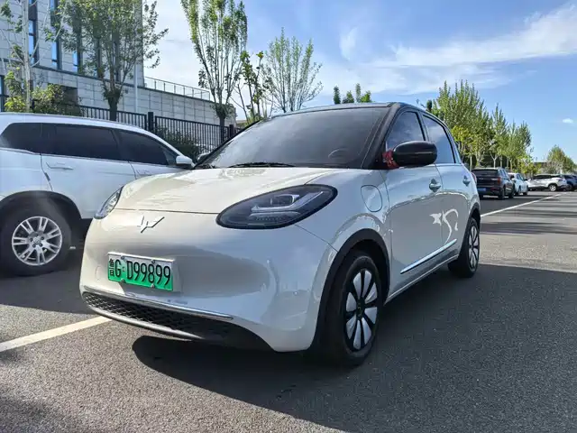 WULING AUTOMOBILE WULING BINGGUO 2024