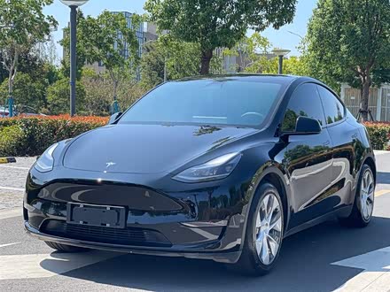 Model Y 2021款 标准续航后驱版