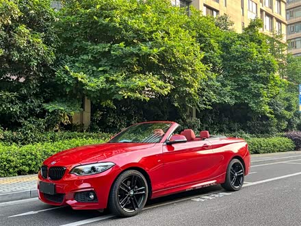 宝马2系 2019款 225i 敞篷轿跑车 运动设计套装