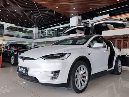 Model X 2019款 Performance 高性能版