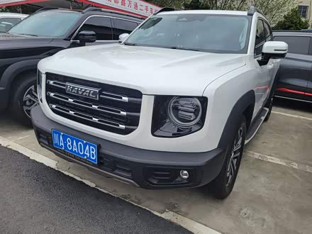 哈弗大狗 2021款 1.5T DCT两驱马犬-旺财版