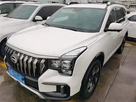 传祺GS8 2020款 390T 两驱豪华智联版（七座）