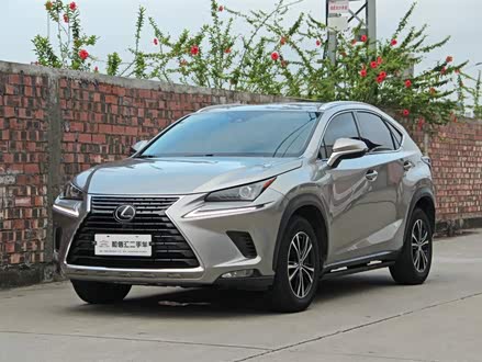雷克萨斯NX 2020款 200 全驱 锋尚版 国VI