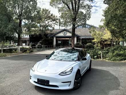 Model 3进口 2019款 长续航后驱版