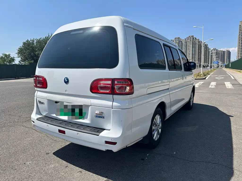 DONGFENG LINGZHI NEW ENERGY