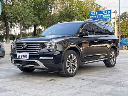 传祺GS8 2019款 390T 两驱豪华智联版（七座）