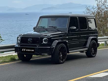 奔驰G级 2010款 G 500
