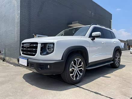 哈弗大狗 2021款 1.5T DCT两驱马犬版