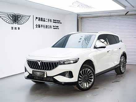 岚图FREE 2021款 四驱增程版专属豪华套装