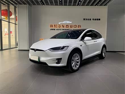 Model X 2019款 长续航版