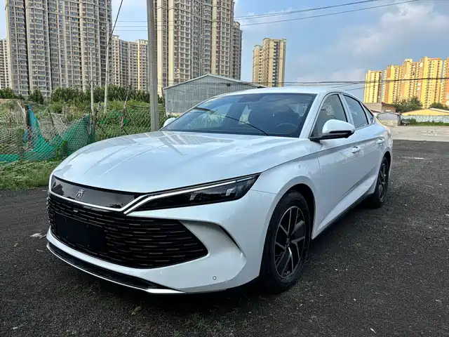 BYD QIN L 2025