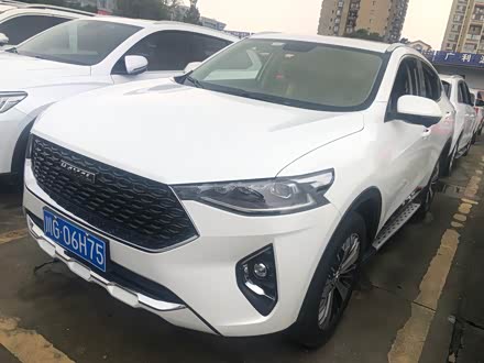 哈弗F7x 2019款 1.5T 两驱极智潮玩版