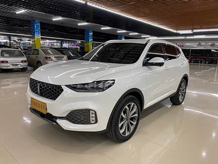 魏牌 VV6 2020款 2.0T 两驱智护+