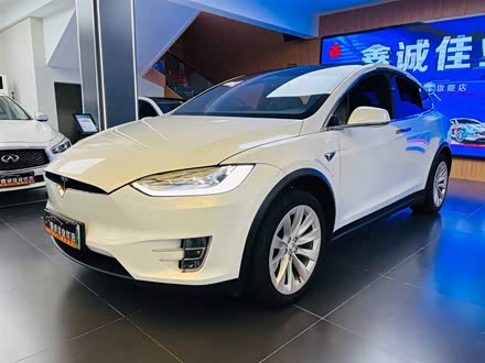 Model X 2019款 长续航版